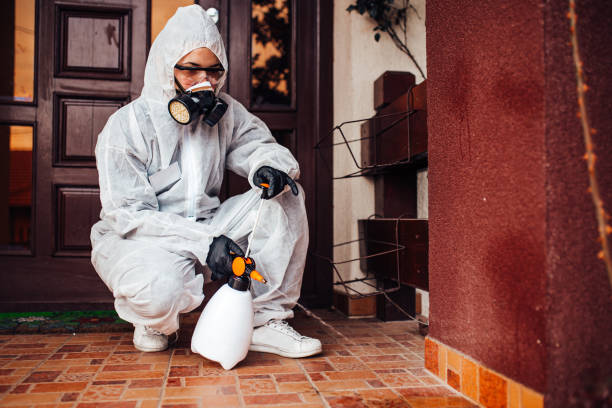 Reliable Cockroach Control contractor in Montgomery, GA by Nex Pest Control