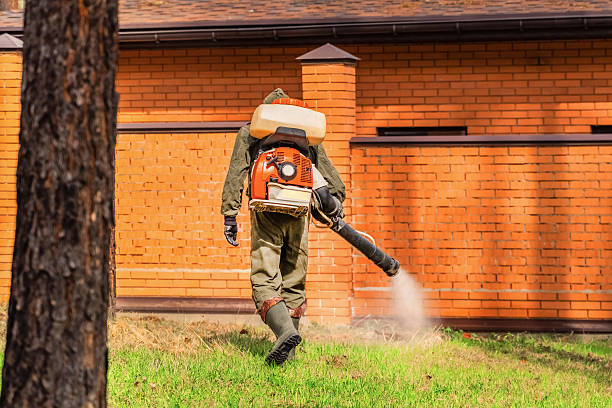Trusted Bed Bug Control service in Montgomery, GA - Nex Pest Control